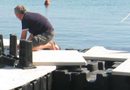 polydock
